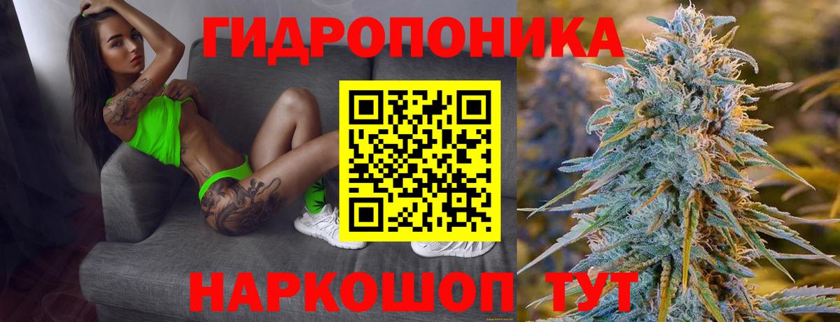 Бошки марихуана OG Kush Заволжье